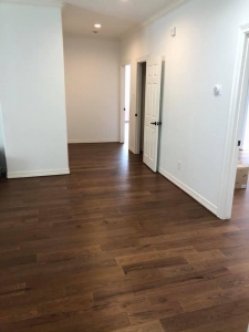 117707950 1308099426062992 4359415051754483676 n 1308099419396326