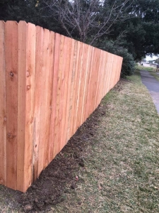 80573421 1130930770446526 2391395837172252672 n 1130930763779860