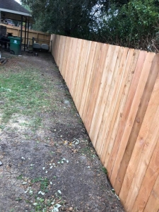 81756973 1130930747113195 43747673588629504 n 1130930743779862